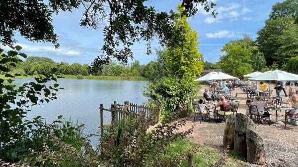 Bodenham Arboretum terrace