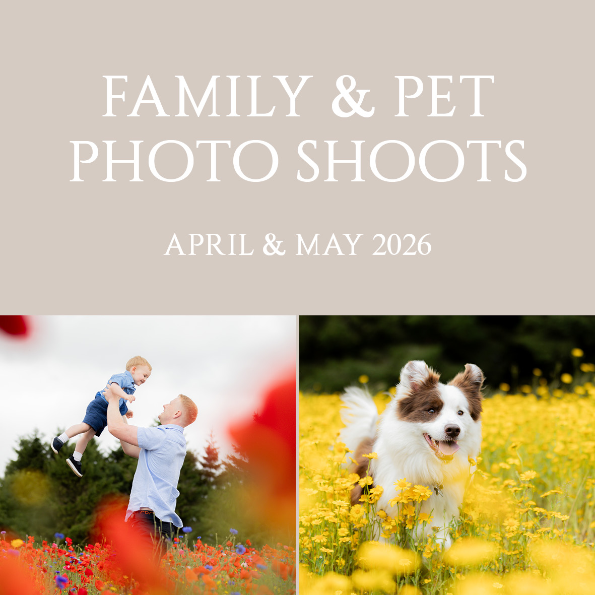 Family Photo Shoots at Bodenham