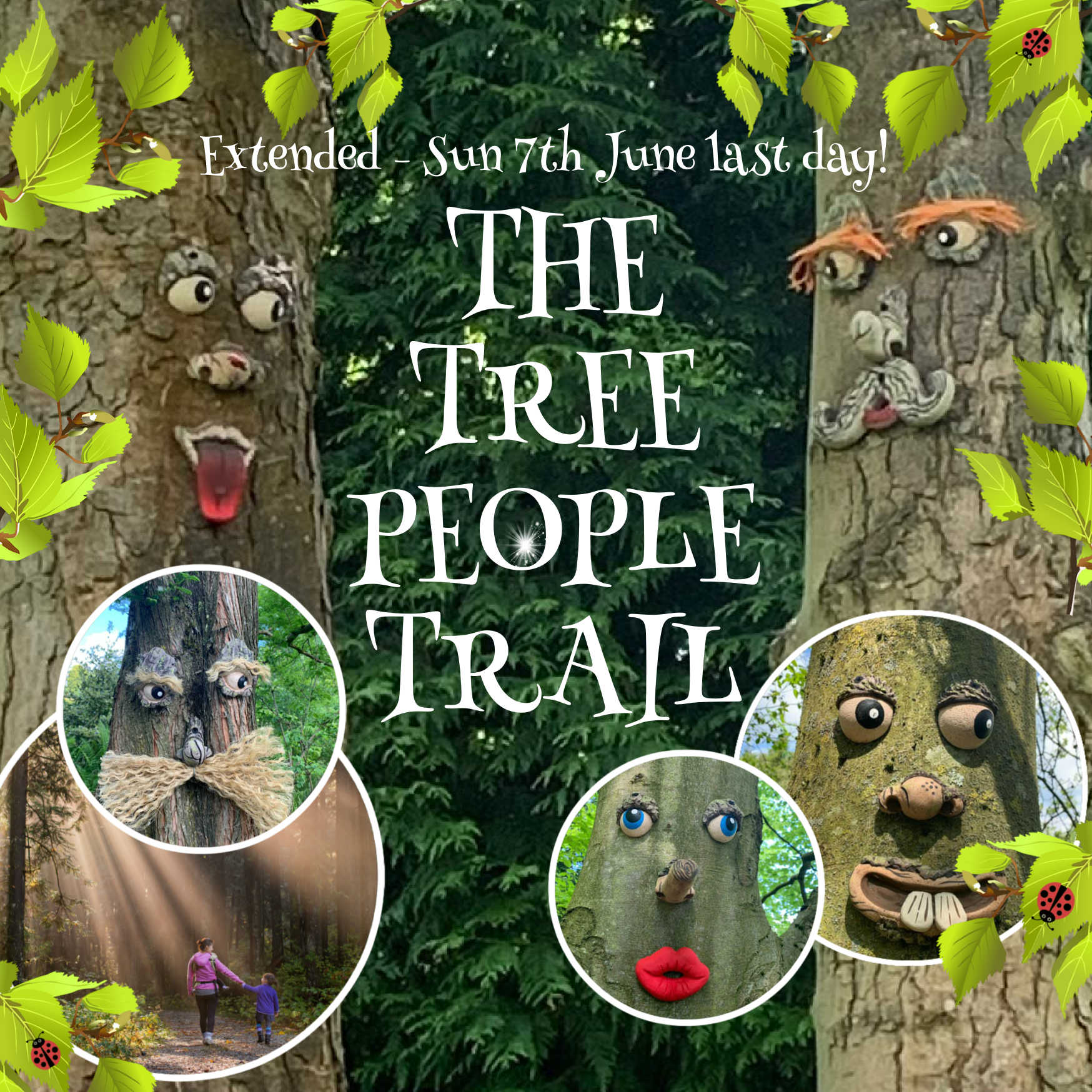 Tree People Trail at Bodenham Arboretum