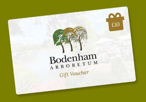 Gift Voucher Header