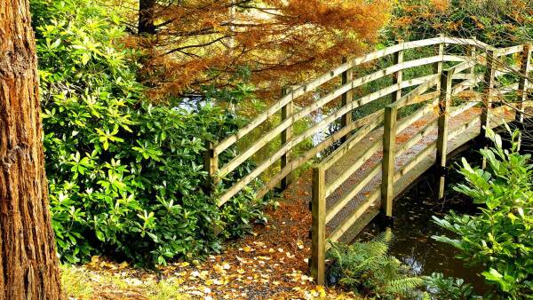 The beautiful wooden Monet bridge over the water at Bodenham, surrounded by green and brown trees.