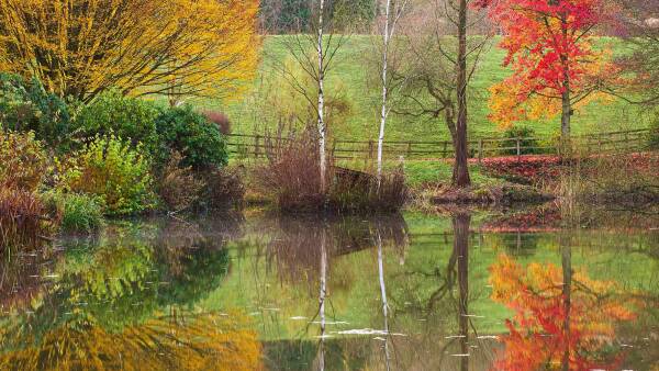 Autumnal scene at Bodenham Arboretum, with vibrant orange and yellow leaves on trees reflecting in a tranquil pool.