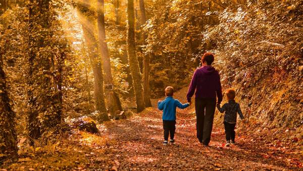 A family of three is seen on a tranquil path in through the picturesque wooded area of Bodenham Arboretum. They are surrounded by a canopy of colorful leaves, creating a beautiful Autumn ambiance. The sunlight is filtering through the trees, casting a warm glow on the scene.