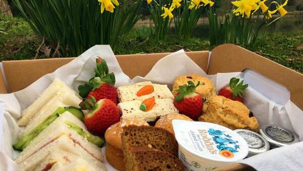 A boxed lunch assortment, featuring a variety of sandwiches, cakes, and pastries, ready to be enjoyed in the outdoor seating area of Bodenham Arboretum. The presentation includes fresh strawberries and a selection of sweet and savory treats.