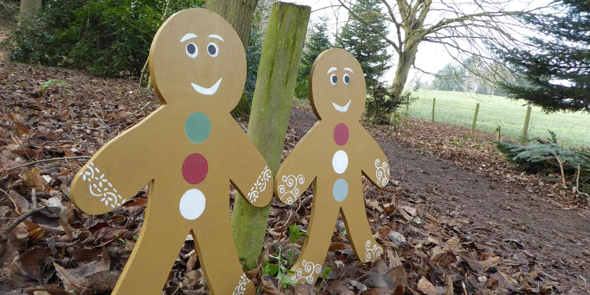 Events | Bodenham Arboretum