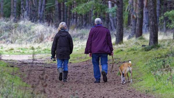 Two individuals walking a dog along the 5 pooks awlk at Bodenham Arboretum. The person on the left is wearing dark pants and a light-colored jacket, while the person on the right is in jeans and a maroon coat.
